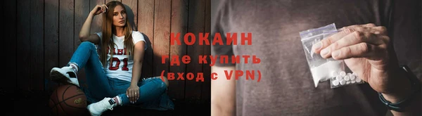 дурь Новодвинск