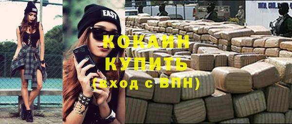 дурь Новодвинск