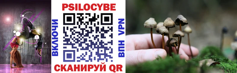 Псилоцибиновые грибы мухоморы  Купить закладки  Порхов 